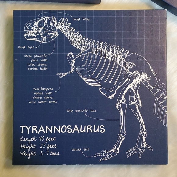 Like New! Canvas Dino Wall Art. - Picture 4 of 14